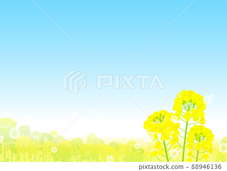 油菜田和藍天景觀 88946136