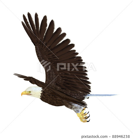 Hakutowashi☆Baekdu Eagle Hakutowashi☆Baekdu Eagle 88946238