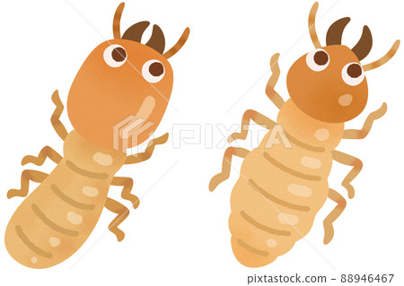 Yamato termites and Formosan subterranean termites (military ants) 88946467