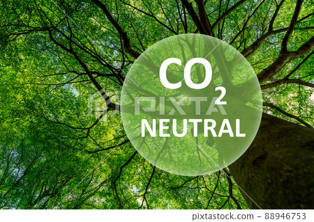 Carbon neutral concept. CO2 neutral in circle logo on green tree in the forest. Environment day and earth day background. Eco friendly. Ecology environment and conservation. Go green business concept. 88946753