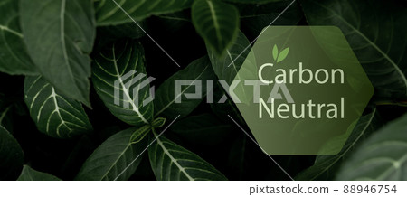 Carbon neutral concept. CO2 neutral in hexagon logo on green leaves. Environment day and earth day background. Eco friendly. Ecology environment and conservation. Carbon neutral horizontal web banner. 88946754