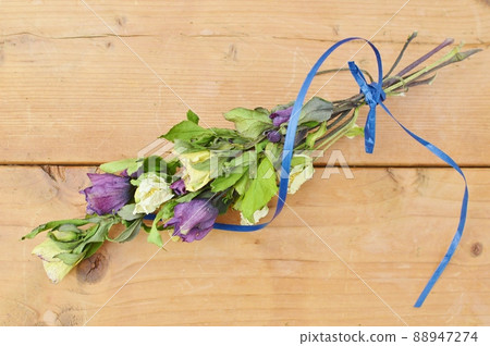 Bouquet of dried flowers of Christmas rose Bouquet of dried flowers of Christmas rose 88947274