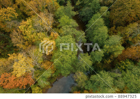 Colorful autumn view of the Caucasus mountains. Great view of the yellow trees. Tod down view. Colorful autumn view of the Caucasus mountains. Great view of the yellow trees. Tod down view. 88947325