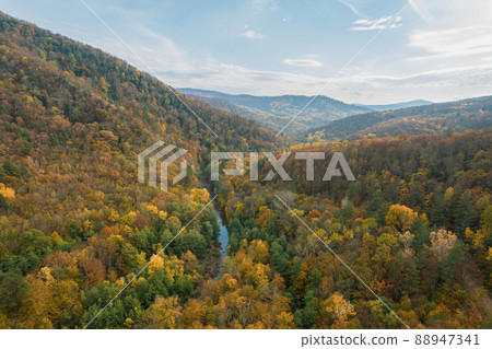 Colorful autumn view of the Caucasus mountains. Great view of the yellow trees. Colorful autumn view of the Caucasus mountains. Great view of the yellow trees. 88947341