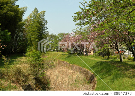 Spring scenery of Omi Spring scenery of Omi 88947373