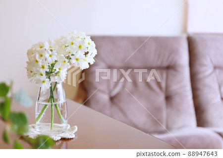 與花同居 空瓶再利用 春天形象背景 88947643
