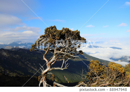 台灣高山峻嶺 中央山脈卑南主山 台灣高山峻嶺 中央山脈卑南主山 88947948
