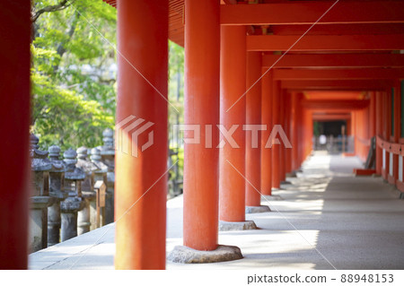 The red pillar of Kasuga Taisha Shrine in Kasugano-cho, Nara City, Nara Prefecture The red pillar of Kasuga Taisha Shrine in Kasugano-cho, Nara City, Nara Prefecture 88948153