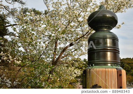 Ise Jingu Naiku Somei Yoshino 88948343