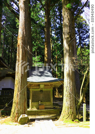 Kozenji Temple, Nagano Prefecture 88948490