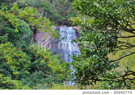 Sebi Kannon Mitaki Shimokoshikijima 88948774