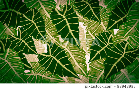 fresh green tropical leaves spring nature watercolor paint design background fresh green tropical leaves spring nature watercolor paint design background 88948985
