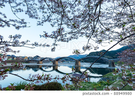 在山口縣的旅遊勝地錦帶橋，夜間照明被投影為春天的櫻花。 88949980