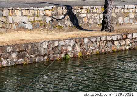 The edge of the Kurashiki River. The edge of the Kurashiki River. 88950821