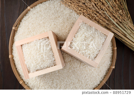 Rice Rice 88951729