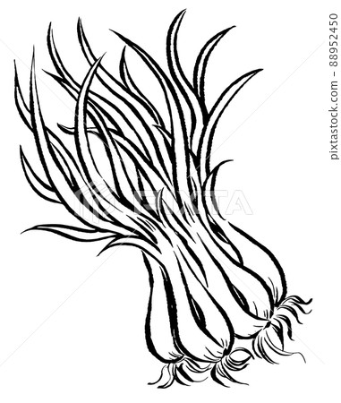 Shima Rakkyo_Analog 風格單色線描 88952450