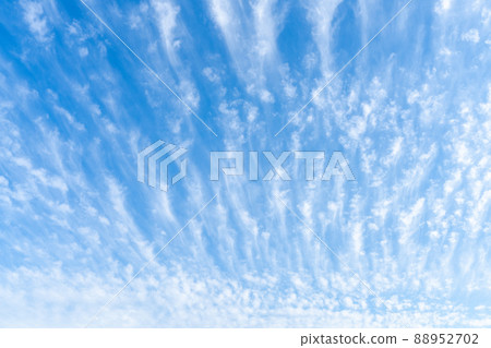 藍天/白雲 88952702