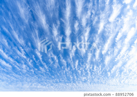 Blue sky / white clouds Blue sky / white clouds 88952706