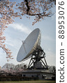 Landscape with cherry blossoms and parabola 88953076