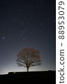 The setting winter tree 88953079