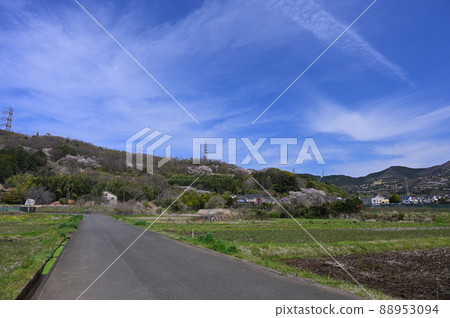 東田原村景觀<<秦野市>> 東田原村景觀<<秦野市>> 88953094