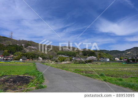 Higashitawara Village Landscape << Hadano City >> 88953095