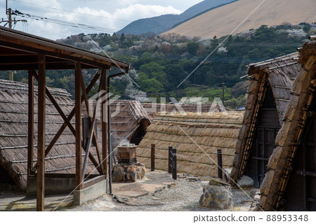 Beppu City's Myoban Onsen 88953348