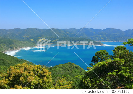 [Miyazaki Prefecture] Cape Toi under clear skies 88953392
