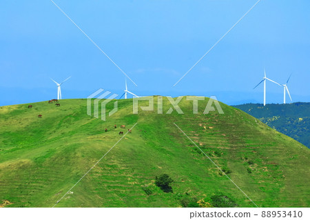 [宮崎縣]晴空下的土肥岬（放牧三崎馬） 88953410