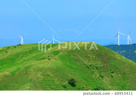 [宮崎縣]晴空下的土肥岬（放牧三崎馬） 88953411