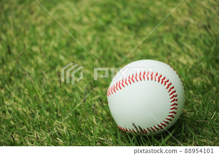 Baseball Ball Baseball Ball 88954101