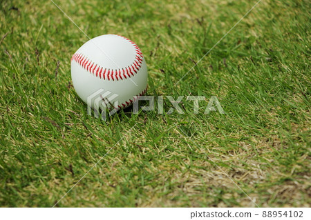 Baseball Ball Baseball Ball 88954102