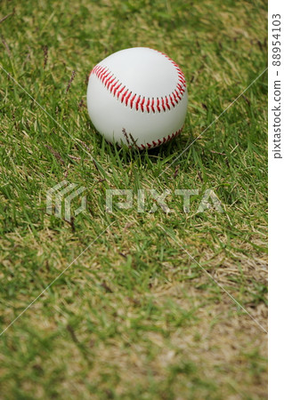 Baseball Ball 88954103
