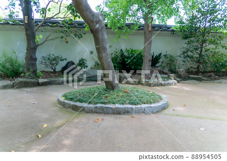 植物在花園裡 88954505