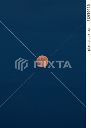 Orange moon Orange moon 88954616