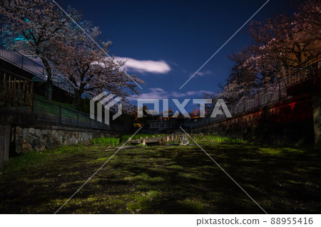 《京都府京都市》蹴上坡夜櫻 88955416