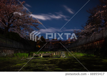 《京都府京都市》蹴上坡夜櫻 88955417