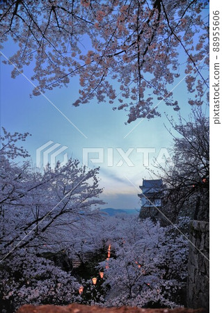 津山城 88955606