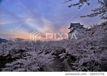 津山城 88955748
