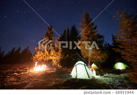 Silhouettes group of travelers spending time together by campfire in evening under starry sky. To the right of tourists three bright luminous tents. Camping of good friends in the mountains at night. Silhouettes group of travelers spending time together by campfire in evening under starry sky. To the right of tourists three bright luminous tents. Camping of good friends in the mountains at night. 88955944