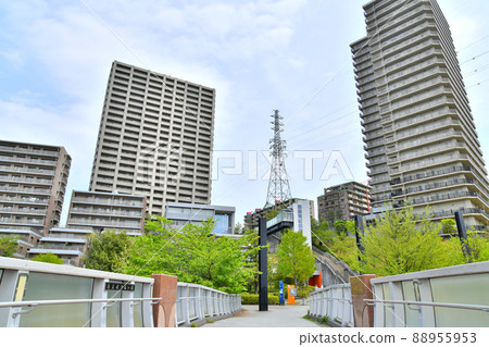 View from Minami Osawa Deai Bridge (Hachioji City, Tokyo) [2022.4] 88955953