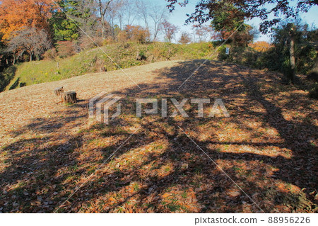 杉山城跡井 [埼玉縣嵐山町] 88956226