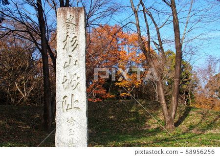 杉山城跡、正圍石碑[埼玉縣嵐山町] 88956256