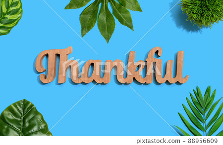 Thankful wooden text with tropical leaves 88956609