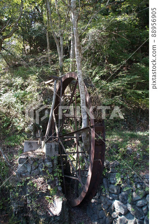 Wastewater car swallowed by nature 88956905