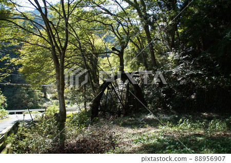 被大自然吞噬的污水車 被大自然吞噬的污水車 88956907