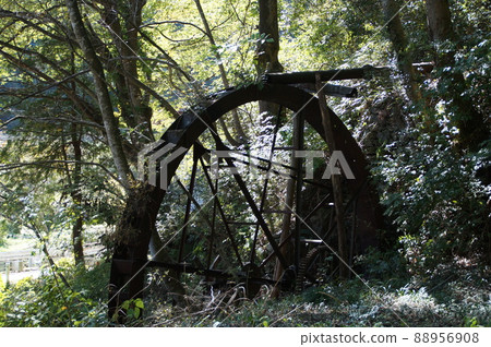 被大自然吞噬的污水車 88956908