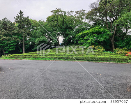 東京都千代田區舊江戶城本丸遺址 東京都千代田區舊江戶城本丸遺址 88957067