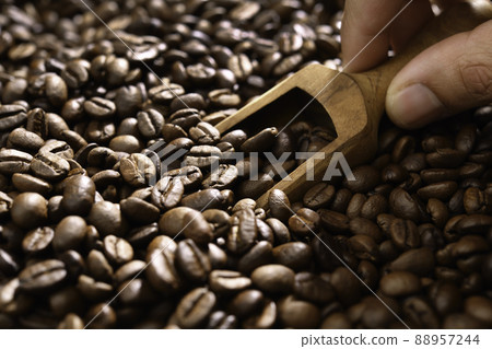 Hand scooping coffee beans using wooden spoon from a large pile of coffee beans Hand scooping coffee beans using wooden spoon from a large pile of coffee beans 88957244