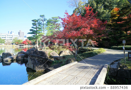 Tokugawaen with beautiful autumn leaves Tokugawaen with beautiful autumn leaves 88957436